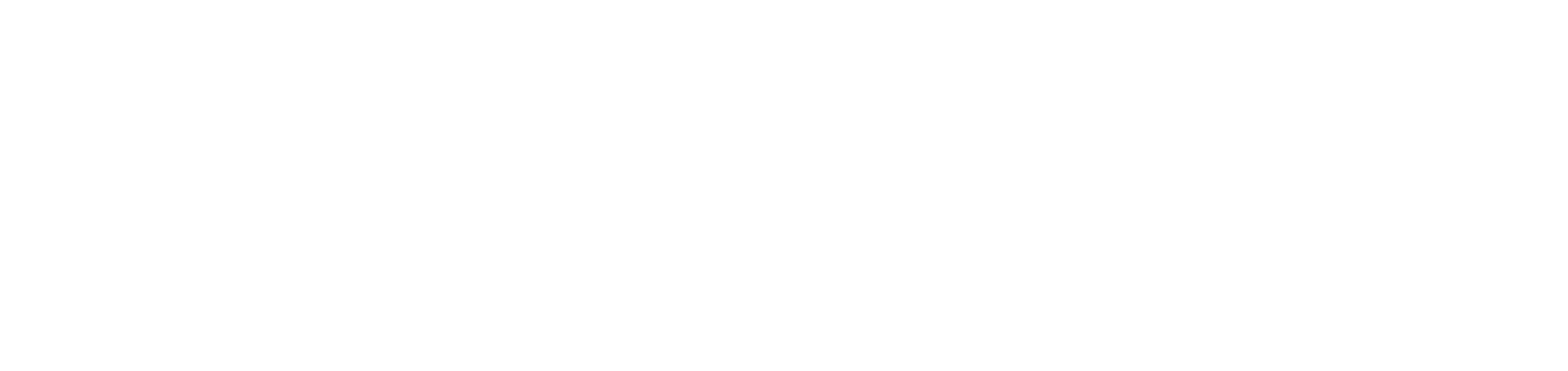 ES_Financiado_por_la_Unión_Europea_RGB_WHITE